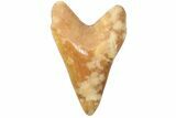 Realistic, Carved Orange Calcite Megalodon Tooth - Replica #202089-1